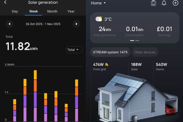 EcoFlow's app gives you live statistics about your setup from wherever you are - and it can be quite addictive!