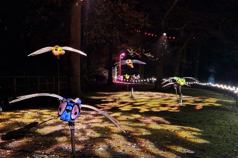 Glow Marwell 2025: Zoo transforms into a magical twinkling wonderland ...