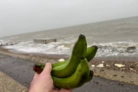 Bananas washed up in Selsey
