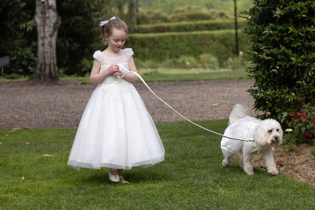 Flower girl Ella with Toto at the wedding of Prime Minister Anthony Albanese and Jodie Haydon in Canberra. Photograph by Mike Bowers