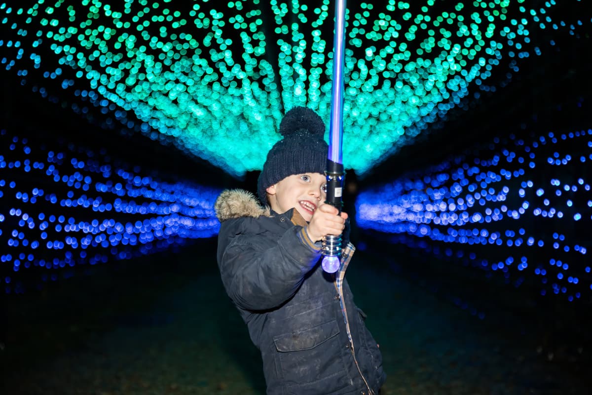 Magical Enlightened festive trail at Staunton Farm makes a stunning return ...