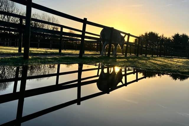 Hayling Island Donkey Sanctuary, in Mill Rythe Lane, has created a GoFundMe page after persistent rain has forced the sanctuary to close to visitors, resulting in no income stream.
Pictured: Flooding at the sanctuary