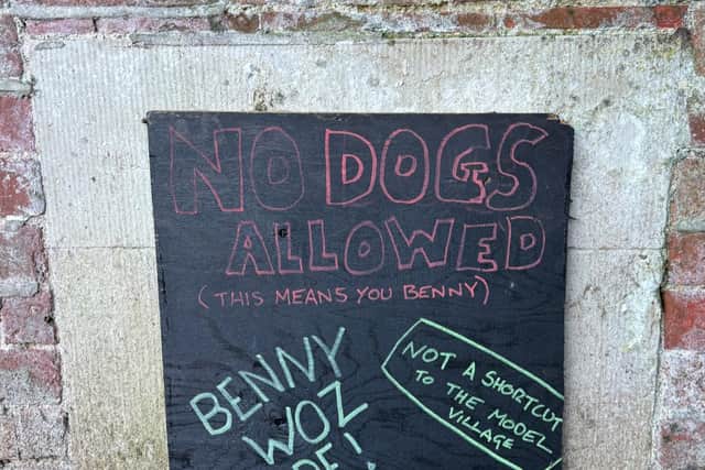 Southsea Model Village has boarded up an air vent after Benny the dog got trapped in it earlier this week.
