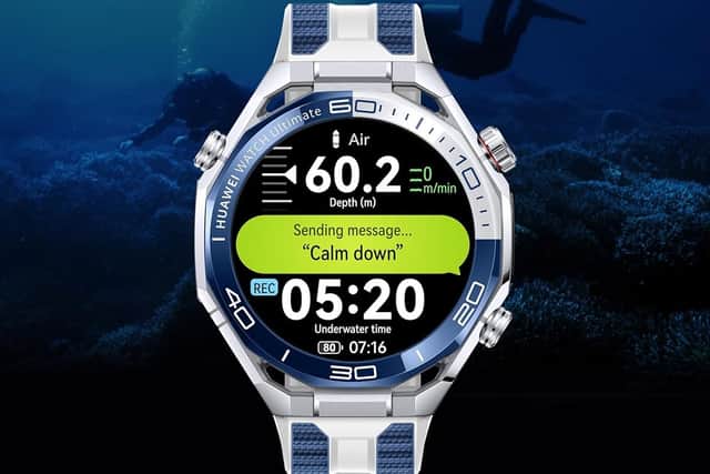 Sonar communication is very clever - but perhaps a bit niche