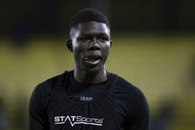 Reported Pompey target Ousmane Sow. Pic: Getty