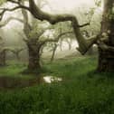 Three Giants' by Richard Murray, winner in the main category in the South Downs National Park photo competition. 
