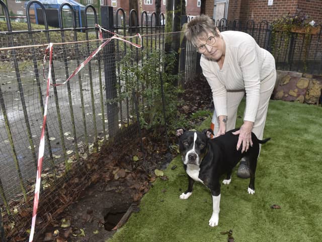 Tracy Thomas with one of her dogs Sox.