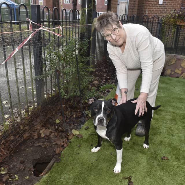 Tracy Thomas with one of her dogs Sox.