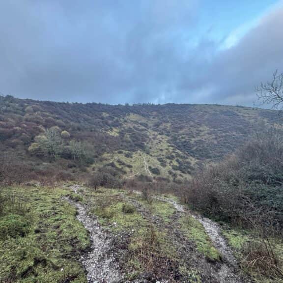 The chalky gorse-covered terrain on Butser Hill can be slippery during wet weather