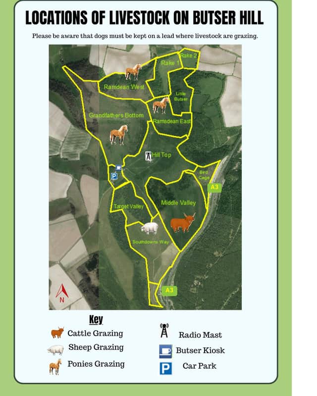 QECP has released an updated map to show the location of the animals on Butser Hill