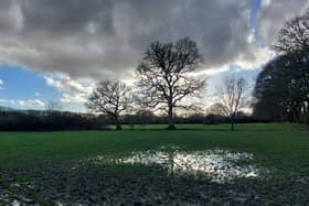 Goodmans Field, a popular spot for dog walkers will be closed from 8am to 4pm as Southern Water resolve a blockage. Sewage has been discharging into the stream following heavy rain this week.