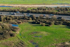 Pictured: Farlington Marshes Picture: Marcin Jedrysiak
