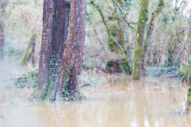 Flooding by the River Meon on Saturday