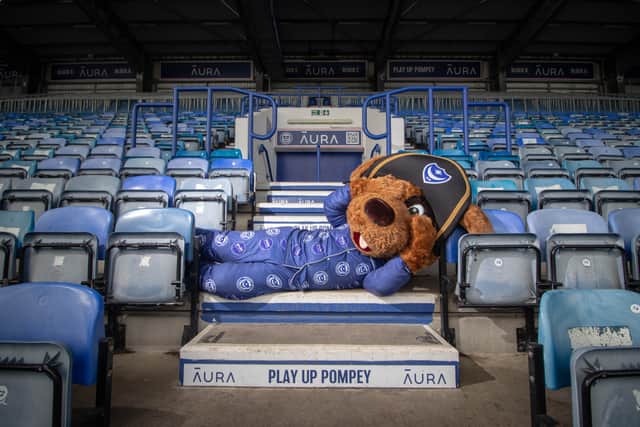Nelson taking a nap on the steps at Fratton Park.