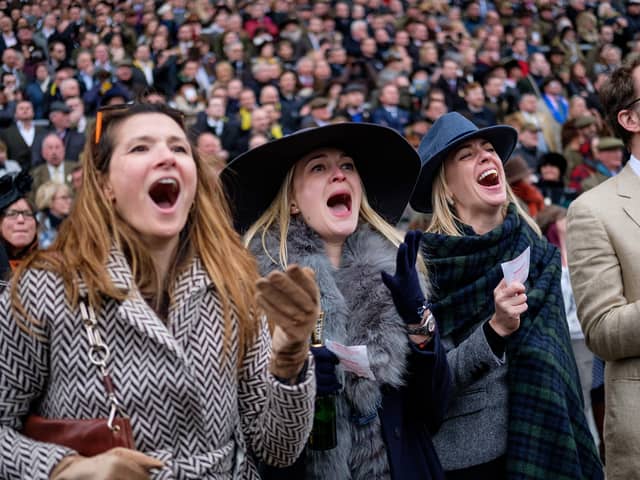 A sports betting website is offering four people an all-expenses paid trip to watch the Cheltenham Festival from sunny Benidorm.