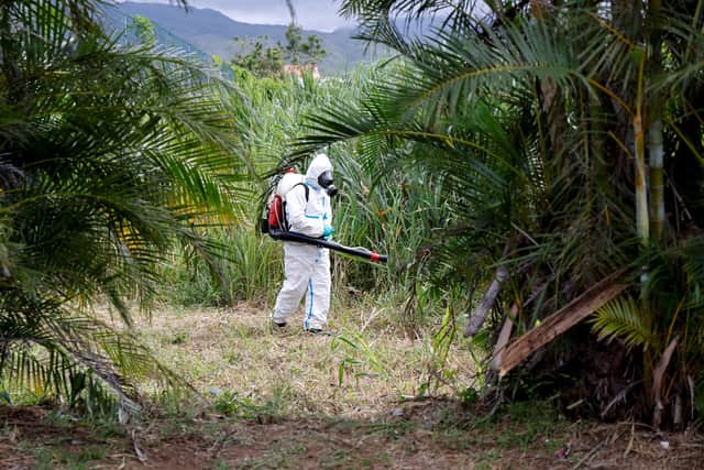 Chikungunya is known for causing painful joints, with the symptoms for some people lasting for months or even years.