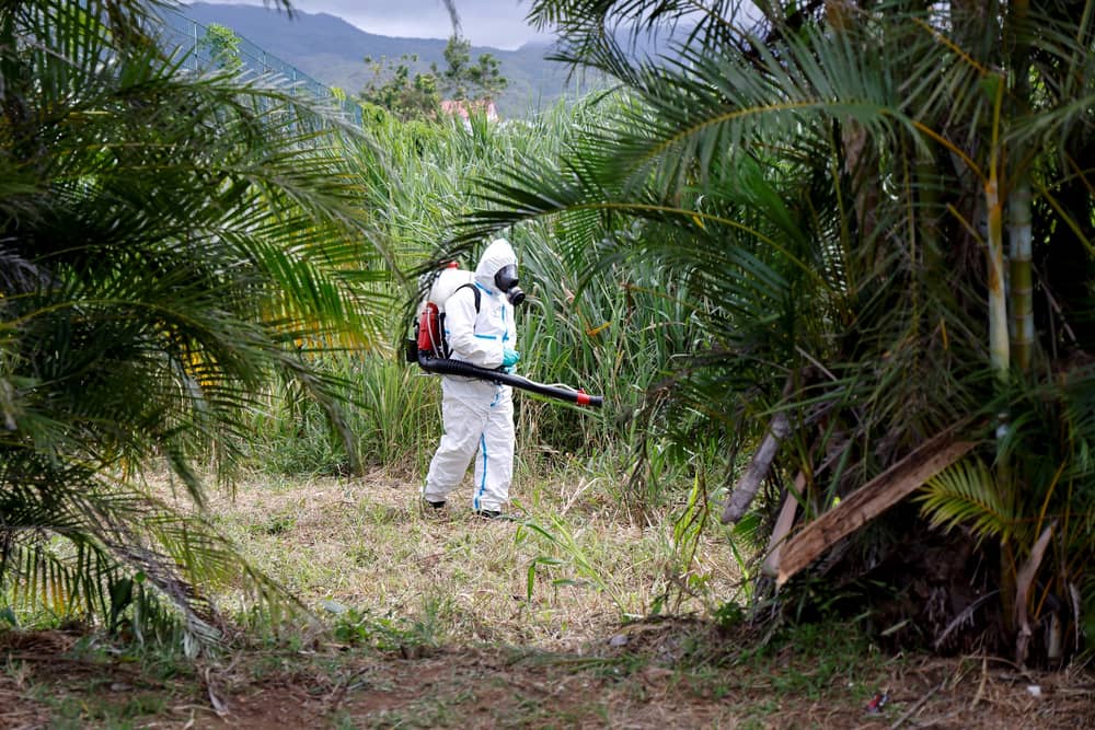 Chikungunya is known for causing painful joints, with the symptoms for some people lasting for months or even years.