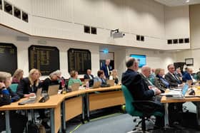 Cllr David Hamilton presenting the motion at Fareham Borough Council