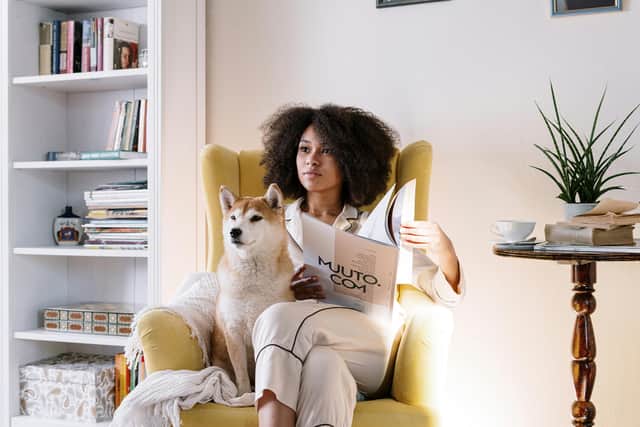 Sounds that seem tolerable to us can be painfully loud for our pets.