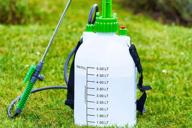 A pressure sprayer is worth investing in if you're using chemicals in the garden - and this one's only £10.99