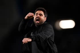 Swansea City boss Vitor Matos. Pic: Getty