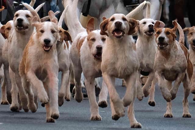 A hunt in West Hereford. Image by Andy Compton
