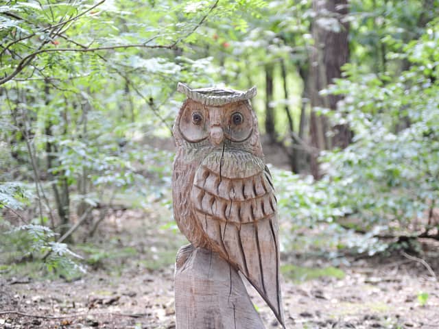 A new sculpture trail will be installed at Foxes Forest. Hilsea, following the completion of the sea defence works at Ports Creek