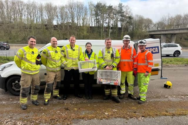 The crew with the saved ducklings.