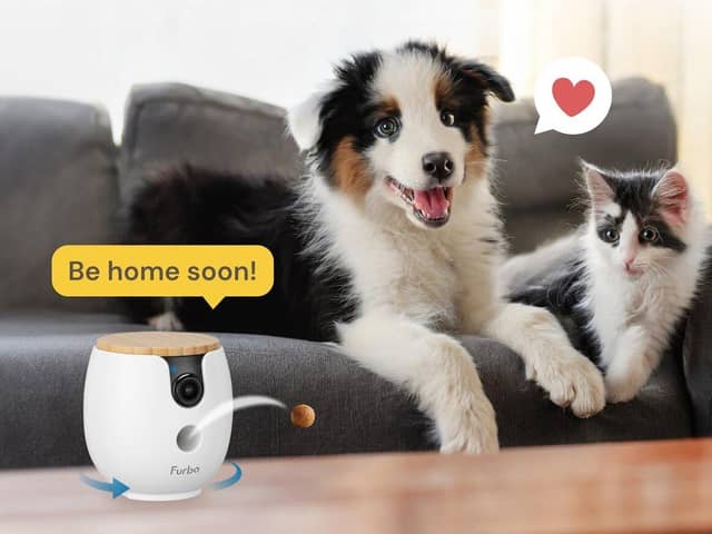 Furbo also makes cheaper, more compact cameras