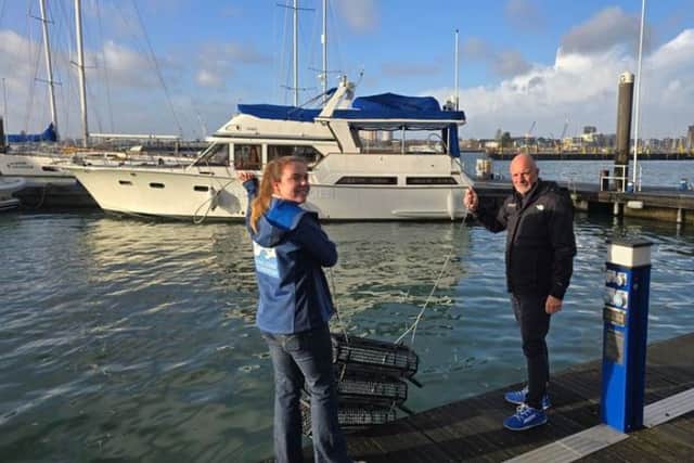 Gunwharf Quays has announced that 2,200 European Flat oysters have been introduced to the Solent