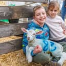 Carter and Chloe holding a little lamb.