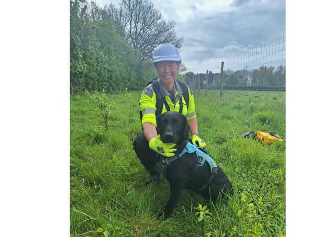 Stephanie Barrett and Tico on the hunt for water leaks in Hampshire.