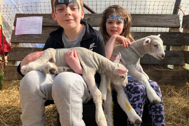 Eddie, eight, and Rosanna Morton, six, at the Westlands Farm lambing event - Sunday, April 12, 2006