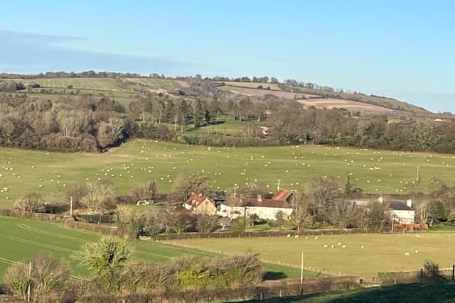 A view of the area where Corhampton Golf Club wants to add four holes to its course - seen from the bridleway at the top of Park Lane.