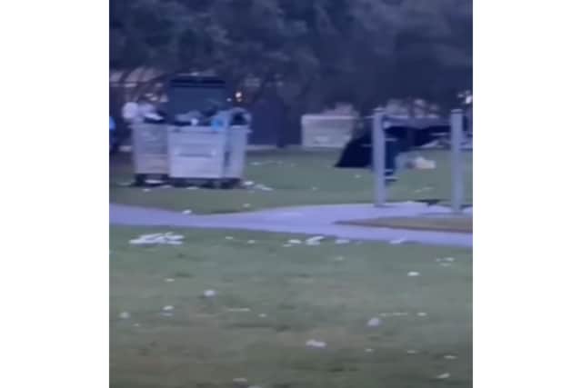 Rubbish left near Canoe Lake after a Sikh festival - April 2026