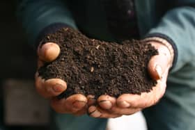 Mulch flower beds and borders