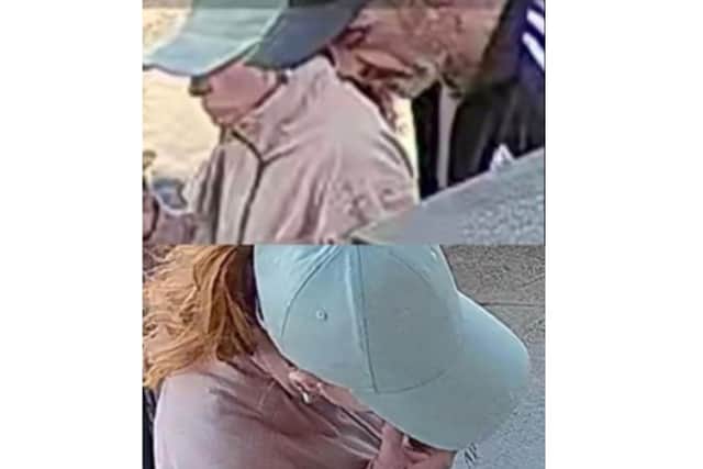 Police are looking for these two people