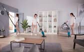 Hoover's HL2 has all the features we want, none of the ones we don't need, and it's at a great price, too