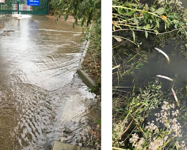 Undated Environment Agency handout photo of a sewage flooded street in Kent, left, and dead eels in a water way in the county. Southern Water has pleaded guilty to a series of pollution incidents across north Kent. Issue date: Monday April 27, 2026