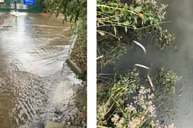 Undated Environment Agency handout photo of a sewage flooded street in Kent, left, and dead eels in a water way in the county. Southern Water has pleaded guilty to a series of pollution incidents across north Kent. Issue date: Monday April 27, 2026