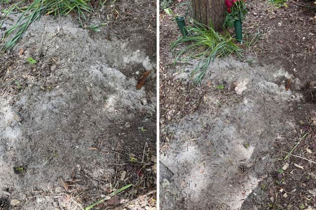 Ashes dumped in the gardens of Portchester Crematorium.