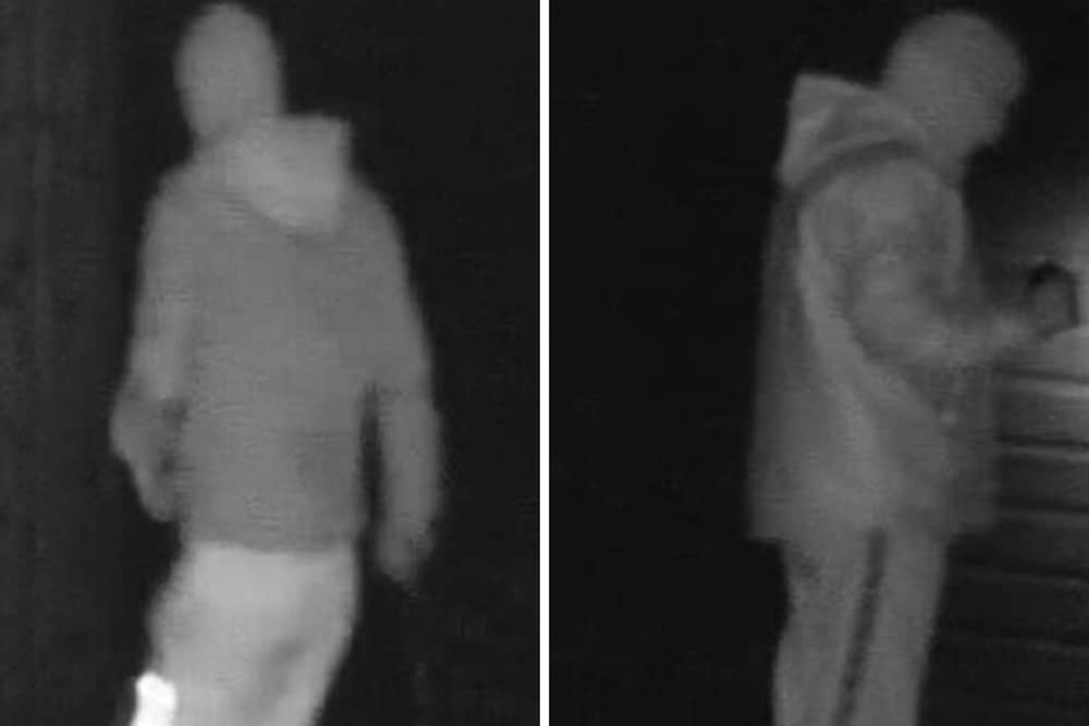 Expensive tools worth £2,000 were stolen from sheds.