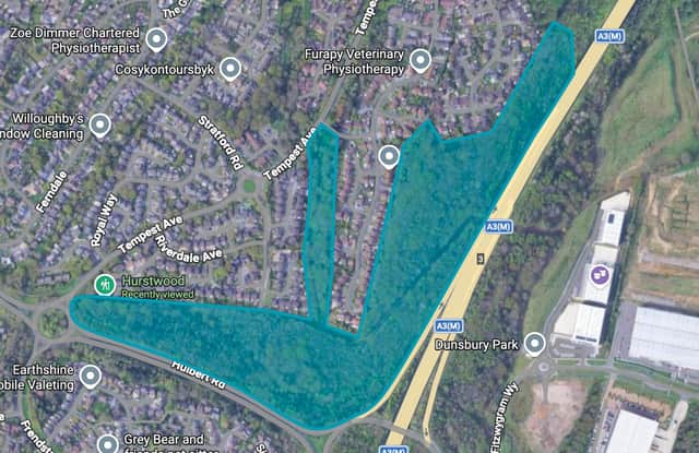 Havant Borough Council is taking action to combat ash dieback, in the area of Hurstwood by undertaking an urgent woodland management programme