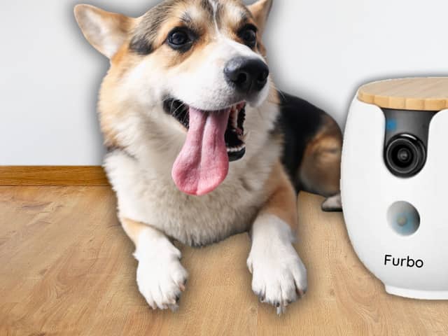 The Furbo Mini 360° pet camera lets owners check in on dogs remotely while away on holiday or at work.