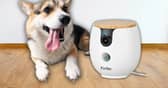 The Furbo Mini 360° pet camera lets owners check in on dogs remotely while away on holiday or at work.