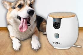 The Furbo Mini 360° pet camera lets owners check in on dogs remotely while away on holiday or at work.
