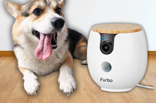 The Furbo Mini 360° pet camera lets owners check in on dogs remotely while away on holiday or at work.