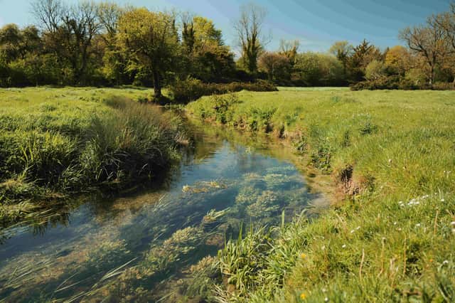 Court House Meadows and the River Meon