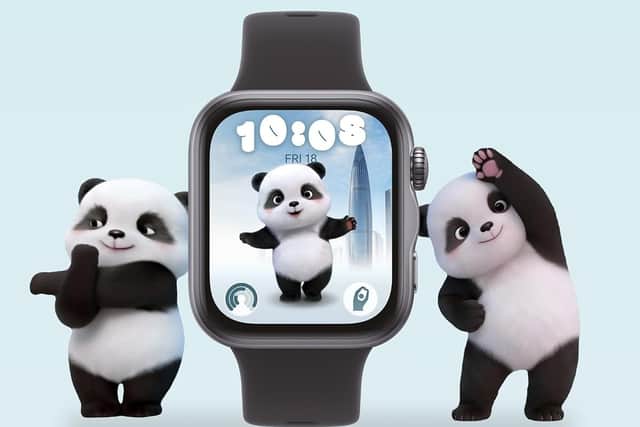 You did read that correctly - a Giant Panda can become your workout wingman