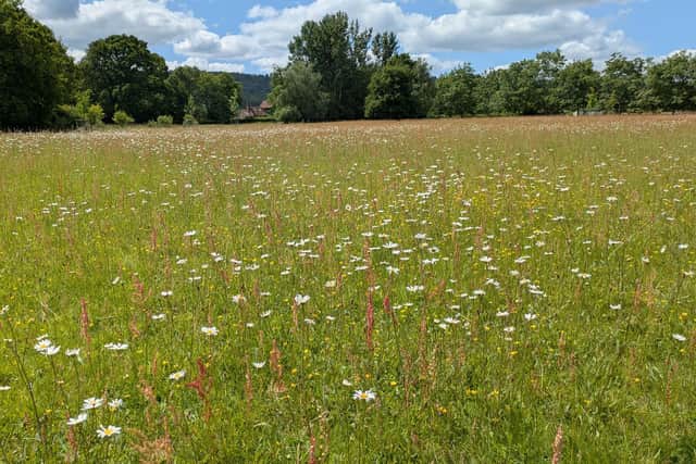 The South Downs National Park Authority